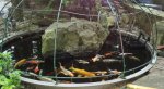 pond pic.jpg