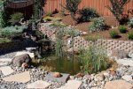 Original 11x16 pond and waterfall.jpg Original 11x16 pond and waterfall.jpg