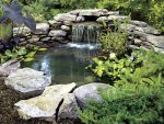 garden-pond-waterfall-500x375.jpg