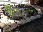 pond1.jpg