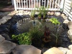 pond2.jpg