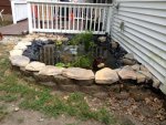 pond3.jpg