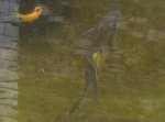 DSCN4505.JPG