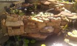 220160_2405384630330_1997804936_o.jpg