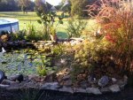 pond current.JPG