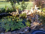 pond current2.JPG
