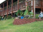 pond 2012 022.JPG