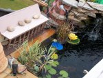 pond 2012 044.JPG