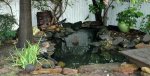 Pond After Cleanout 2012.jpg