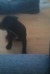IMAG0237.jpg IMAG0237.jpg