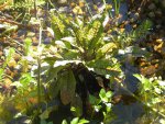 DSCN4858.JPG