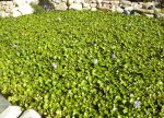 DSCN4855.JPG