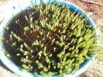 DSCN4876.JPG