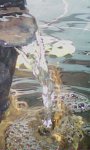 My lovely waterfall glistening in the sunlight by RoyalFeather.jpg My lovely waterfall glistening in the sunlight by RoyalFeather.jpg