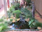 Pond 22-10-12  (Small).JPG