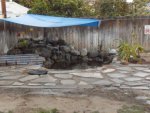 pond pics 010.jpg