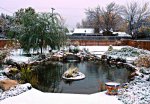 Winter Wonder Land by pecan.jpg Winter Wonder Land by pecan.jpg