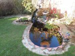 fish pond 021.jpg