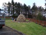DSC00668.jpg