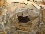 DSC00669.jpg
