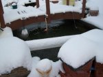 12-26-2010 snow 024.JPG