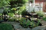 Current Pond in Summer.jpg Current Pond in Summer.jpg