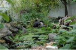 Old Rugged Pond.jpg Old Rugged Pond.jpg
