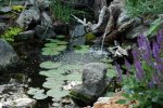 Lower Water Pond.jpg Lower Water Pond.jpg
