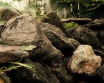 Aged Stone.jpg Aged Stone.jpg