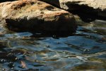 Current Stone and Water.JPG Current Stone and Water.JPG
