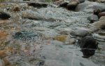 Flowing Stream.jpg Flowing Stream.jpg