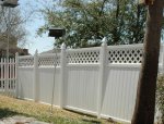 back fence.jpg back fence.jpg