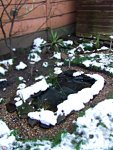 pond-01-20Jan2013.JPG