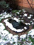 pond-02-20Jan2013.JPG