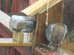 DSC05031.JPG