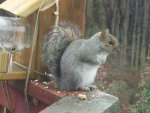 DSC05027.JPG