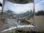 new fish 007.jpg