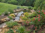 pond 776.jpg