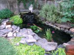 Pond Pics 1000x750.jpg