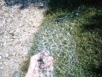 plasticchickenwire.jpg