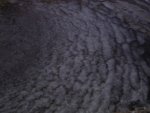DSC05052.JPG