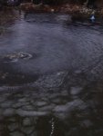 DSC05054.JPG