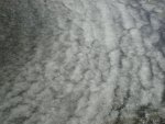 DSC05060.JPG