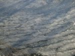 DSC05056.JPG