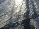 DSC05055.JPG