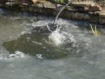 DSC05059.JPG