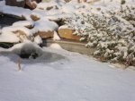 DSC05065.JPG