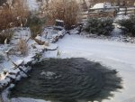 DSC05066.JPG