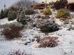 DSC05084.JPG