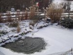 DSC05083.JPG